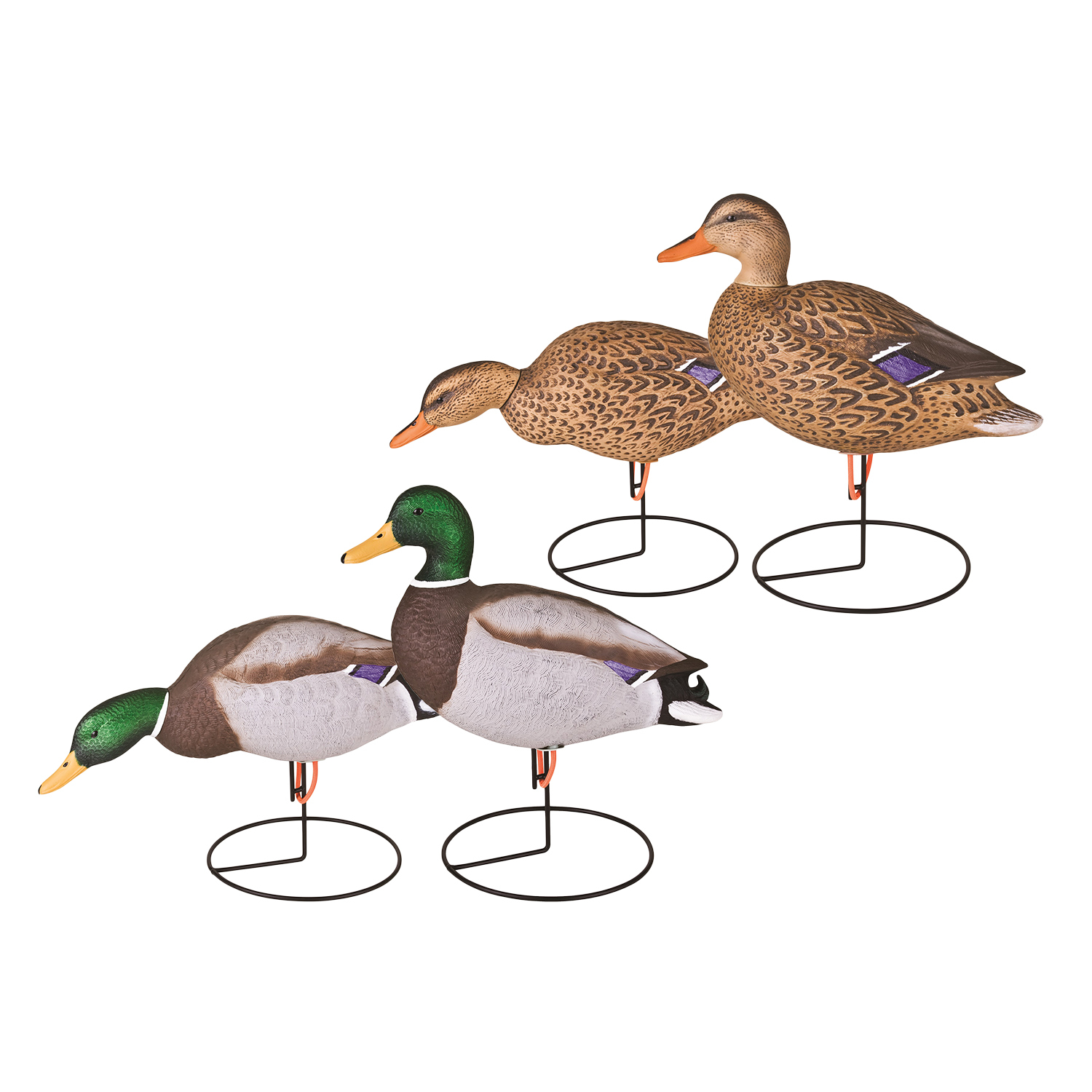 Flambeau Full Body Mallard 18in – 6 Pack